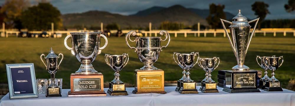 Mudgee2015 trophies