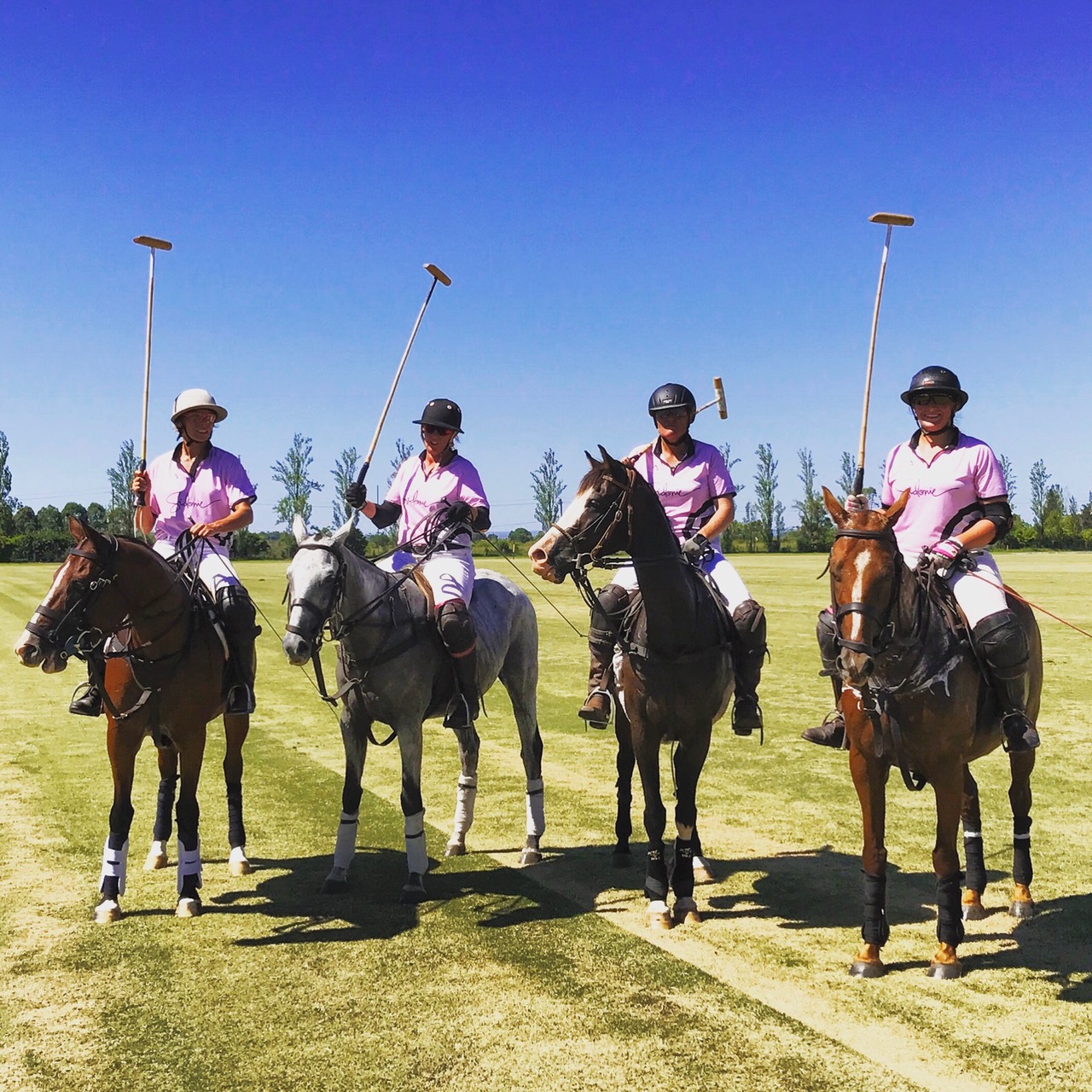 2017NSWLadies Ellerston