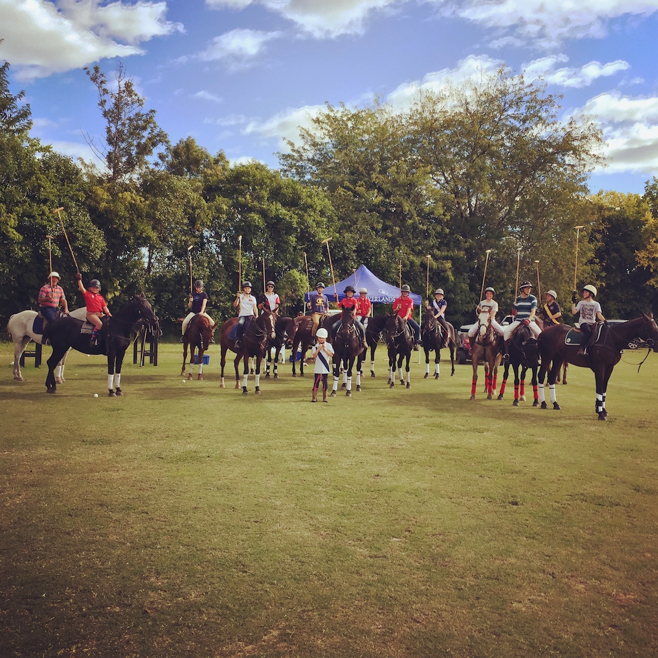 HawkesburyJPS2017cfield