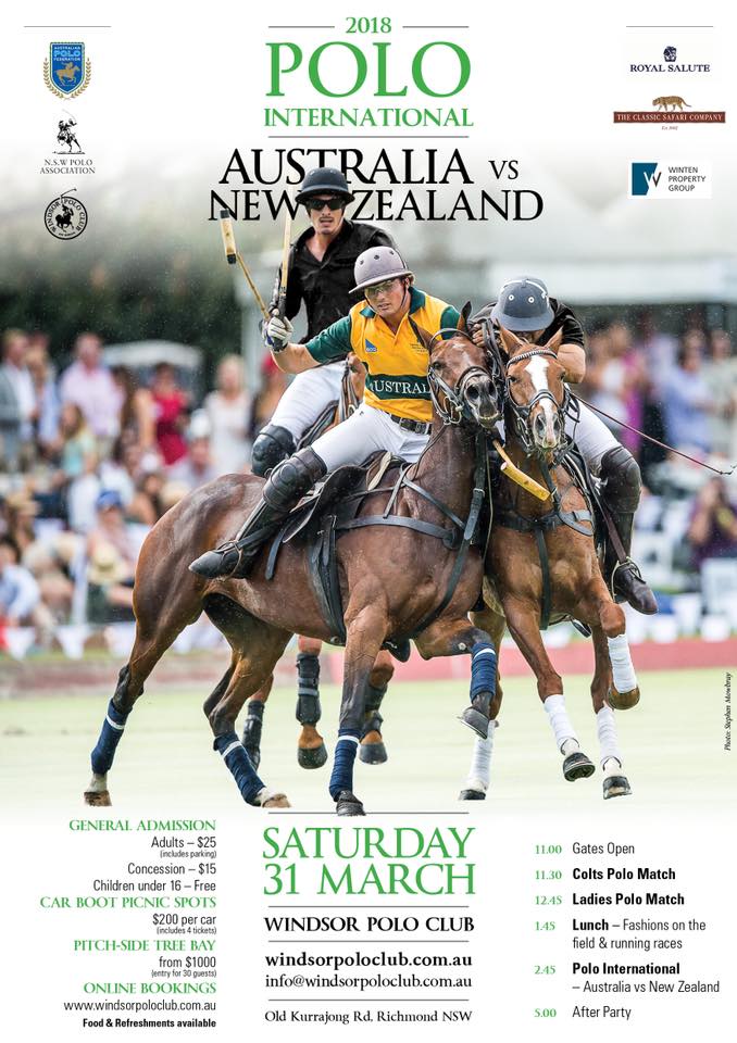 2018 Polo International