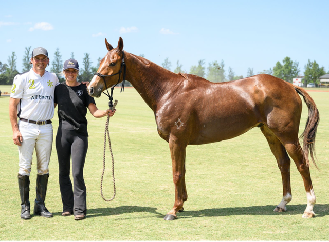 LT Watson Champ Pony
