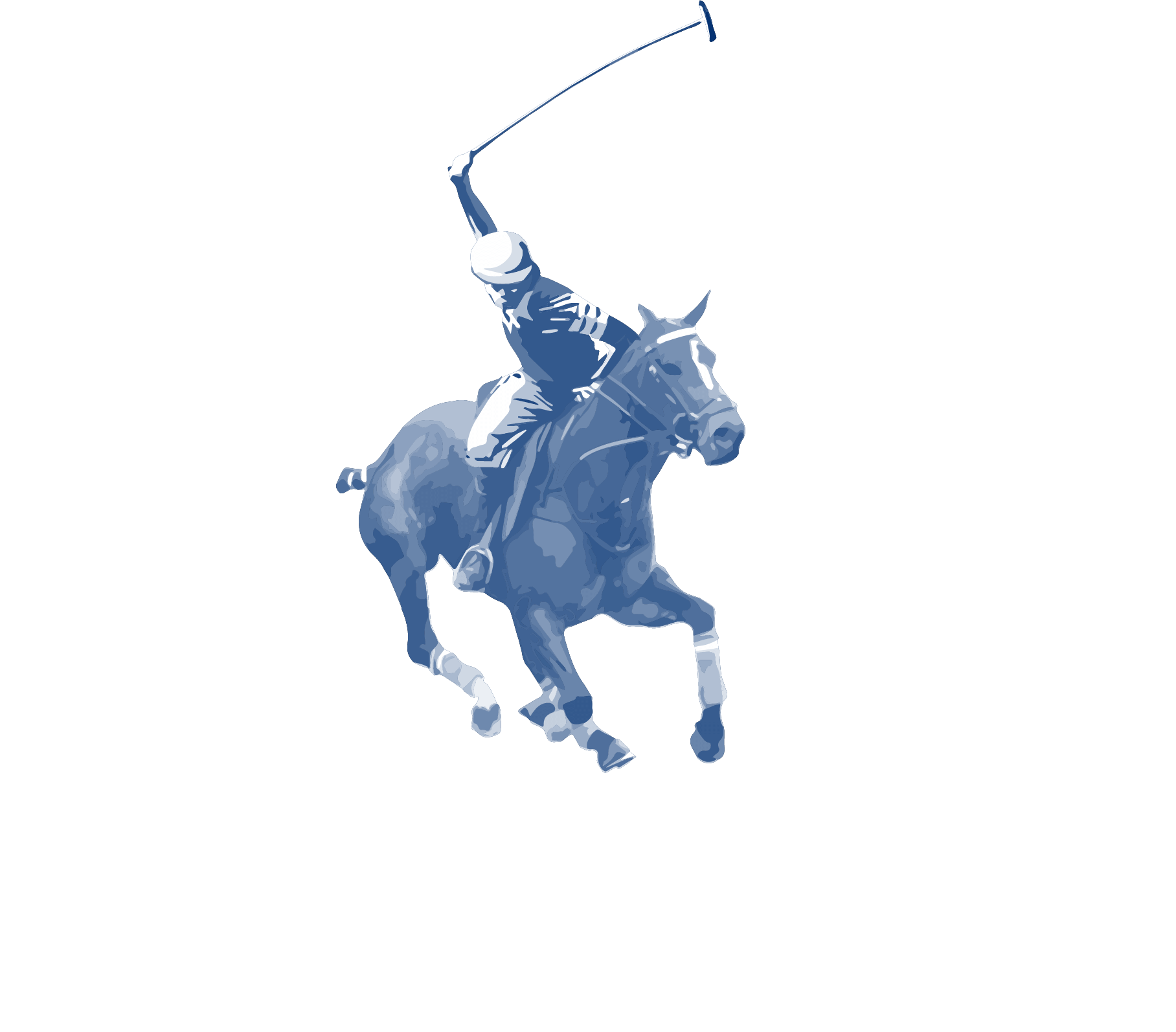 NSW Polo Association